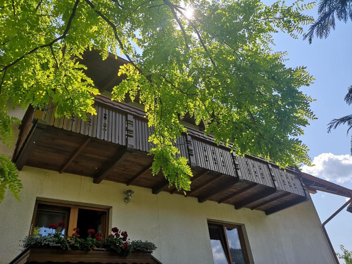 Apartmaji Volf Zgornje Gorje Exterior photo